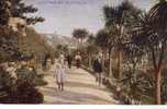 Old England Postcard - Carte Ancienne De Grande Bretagne - Torquay - Torquay