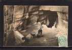 38 SASSENAGE Cuves, Entrée, Marchand De Cartes Postales, Ed VP, 1906 - Sassenage