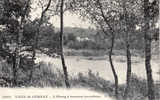 Vaux De Cernay - L'Etang à Travers Les Arbres - Vaux De Cernay