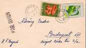 Rum048/  - RUMÄNIEN - Luftpost. Pilz/Heilpflanze - Lettres & Documents