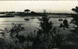 83 .  SAINT-AYGULF . LES ETANGS SALES . BARQUE ET PECHEURS A LA LIGNE . - Saint-Aygulf