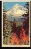 Jolie CP Etats Unis USA Oregon Mount Hood From Lolo Pass -- Montagne - Cp Pas écrite - Other & Unclassified