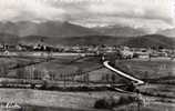 31 SAINT GAUDENS Vue Panoramique Avec La Chaine Des Pyrénées - Saint Gaudens