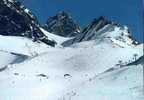 CPSM.  PROLOGNAN LA VANOISE. SKI SUR LES PENTES DU MONT BOCHOR. - Pralognan-la-Vanoise