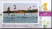 Seagull , Bird, Pre-stamped Card , Postal Stationery - Gabbiani