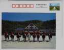 Horse Team,#6,China 2007 Dalian The Mounted Policewomen Advertising Postal Stationery Card - Politie En Rijkswacht