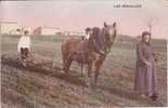 Agriculture / Les Semailles (Animée / Cheval / Labour / Belle Carte Couleur) - Bauernhöfe