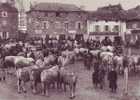 Foire Aux Boeufs Gras 1912 En Auvergne - Fairs