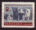 L1627 - BULGARIE BULGARIA AERIENNE Yv N°81 ** ESPACE SPACE - Posta Aerea