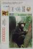 Chimpanzee,China 2002 Rare & Precious Animal Advertising Pre-stamped Card - Chimpanzés