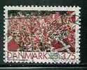 DENMARK - SPORTS - FOOTBALL - SOCCER - VICTOIRE á EURO-92 - Yvert # 1038  - VF USED - Usati