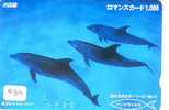 DOLPHIN (433) DAUPHIN DELPHIN Dolfijn WHALE Tier Animal  POISSON - Delphine