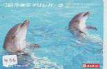 DOLPHIN (436) DAUPHIN DELPHIN Dolfijn WHALE Tier Animal  POISSON - Delphine