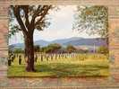 67 Niederbronn Deutscher Soldatenfriedhof , Cemetery    VF   D17530 - Niederbronn Les Bains