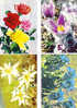 LOT DE 100 CARTES CPM SUR LE THEME DES FLEURS. - 100 - 499 Postcards