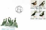 Norwegen FDC 1981 - Unused Stamps