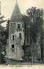 77 FONTENAY TRESIGNY Vivier Les Ruines  Joli Plan - Fontenay Tresigny