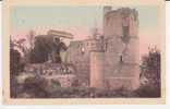 CLISSON . RUINES DU CHATEAU SUD OUEST DONJON ET GROSSE TOUR - Clisson