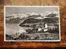 SPIEZ  -Suisse   - 1954  F  D18657 - Spiez