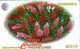 DOMINICA FLOWERS UT 138 CDM..... - Dominica