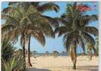Florida, USA : "A Tropical Paradise" ; West Palm Beach ; Filet De Volley-ball  ; 1989 ; TB - Tampa