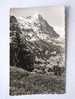 Grindelwald  -Eiger  BE- CH 1950´s VF  D21300 - Grindelwald