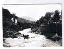 Lozère.CPSM. Florac.Vieux Pont Sur Le Tarnon. - Florac