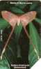 SIERRA LEONE PAPILLON BUTTERFLY 200U UT - Schmetterlinge