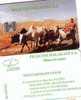 MADAGASCAR PAYSAGE CARTE ANCIENNE ANTIC CARD + VACHES COW GRANDS N° RARE 100U - Madagascar