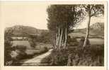 CP 29 Chateauneuf Du Faou,  La Montagne Noire - Châteauneuf-du-Faou