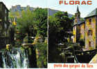 Carte Postale 48.  Florac Trés Beau Plan - Florac