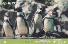 Rare Carte JAPON - Série ANIMAL SOTETSU N° 3 - OISAEU - MANCHOT De HUMBOLDT - PENGUIN BIRD JAPAN Prepaid Card  - 103 - Pingouins & Manchots