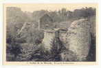 Cartes Postales (72) ANSICHTKAART VALLE DE LA WARCHE * RUINES DE REINARDSTEIN - Waimes - Weismes