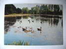 Newstead Abbey - Canadian Geese - Circulé - Other & Unclassified