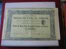 ACTION & TITRE : MINES DE FEDJ EL ADOUM SOCIETE /1913 / SCRIPOPHILIE - Mineral