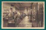 BELGIUM - TERVUREN - MUSÉE Du CONGO BELGE - SALLE Des MAMMIFÉRES  - RHINOCEROS - NELS  - En Thill - UNUSED POSTCARD - Tervuren