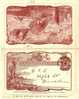 NZ066 / Eduard Kartenbrief  Ascher 19a,Dunedin 1903 - Storia Postale