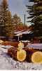 Canada - Sawmill In The Wintertime - Altri & Non Classificati