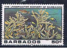 BDS+ Barbados 1980 Mi 516 - Barbados (1966-...)