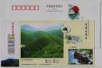 Gougunao Green Tea Mountain,teapot,China 2003 Ji'an Landscape Advertising Pre-stamped Card And Hot Spring Waterfall - Sonstige & Ohne Zuordnung