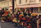 Nice - Le Marche Aux Fleurs - Markets, Festivals