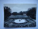 Brétigny Sur Orge , Parc Du Pensionnat De Passy . C.p.photo 15x10. - Bretigny Sur Orge