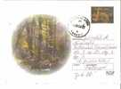 ROMANIA / POSTAL STATIONERY - Natuur