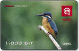 Slovenia - Mobi GSM Recharge Card - Bird - Kingfisher - Eisvogel  -  1000SIT - 31/12/2007 - Slovenia