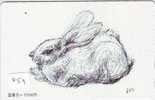 Carte Japon - LAPIN (453) Rabbit LAPIN KONIJN Kaninchen Conejo Animal Tier - Lapins