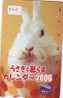 Carte Japon - Kaninchen LAPIN (466) Rabbit  KONIJN  Conejo Animal Tier - Lapins