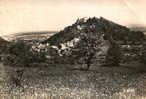 CARTE POSTALE DE FERRETTE - JURA ALSACIEN - VUE PRISE DE LA HAUTEUR DE SONDERSDORF - Ferrette