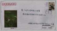 Sparrow Bird,China 2002 Linghai Garden Management Office Advertising Postal Stationery Envelope - Sparrows