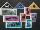 13123/21**. Paarden-Chevaux-Horses MNH - Ungebraucht