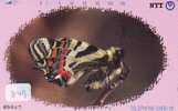 PAPILLON BUTTERFLY SCHMETTERLING MARIPOSA Vlinder (349) - Schmetterlinge